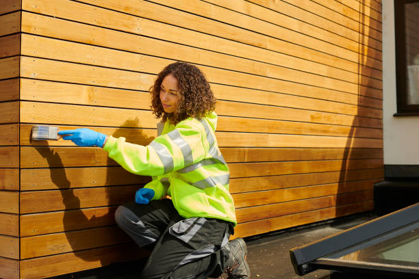 Best Custom Trim and Detailing for Siding  in Oglala, SD